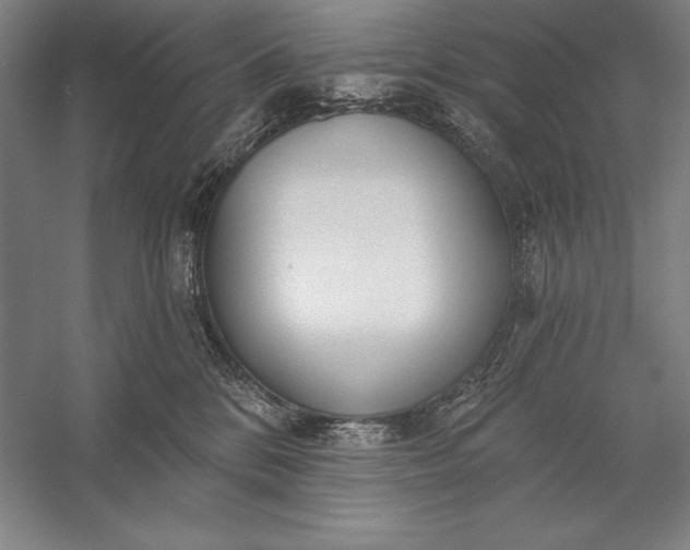 X0000056350328200509091603