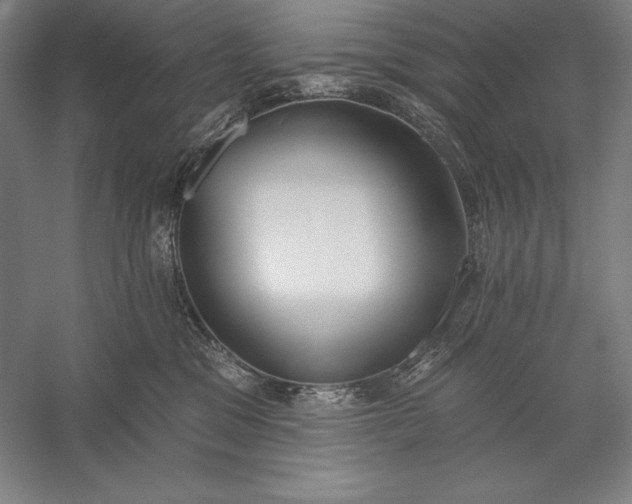 X0000056350329200509091603