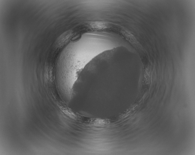 X0000056350330200509091603