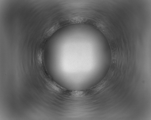 X0000056350334200509091603