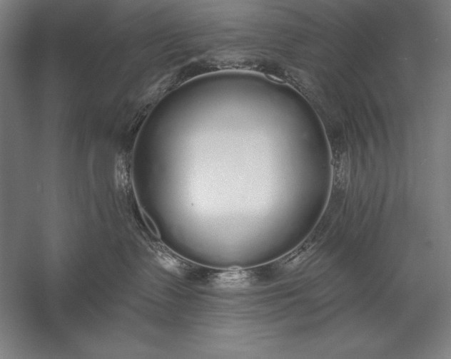 X0000056350335200509091603