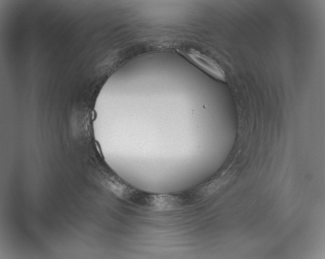 X0000056350336200509091603