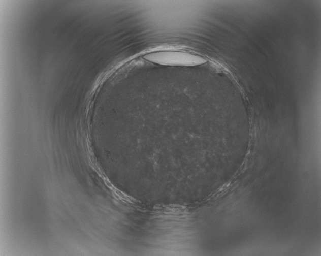 X0000056350337200509091602