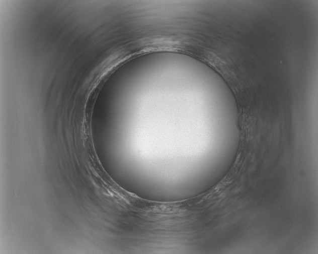 X0000056350338200509091602