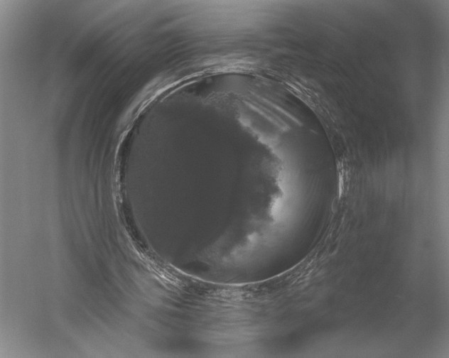 X0000056350339200509091602