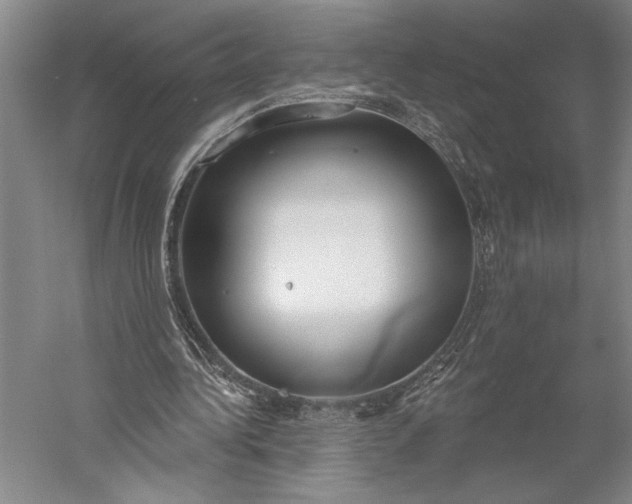 X0000056350340200509091602