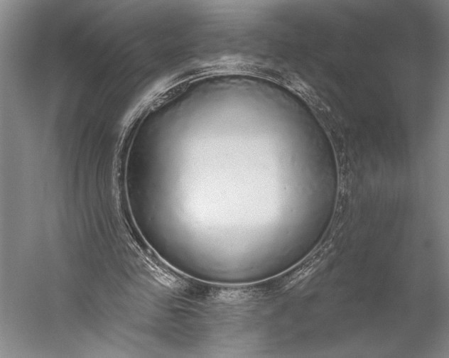 X0000056350341200509091602