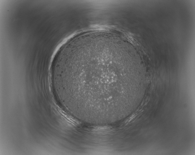 X0000056350342200509091602