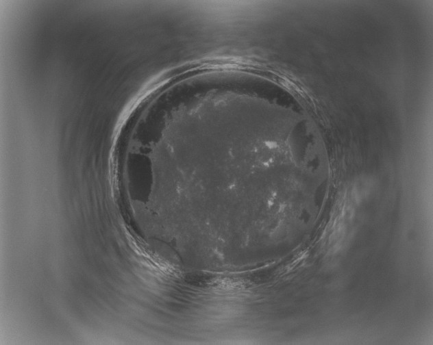 X0000056350343200509091602