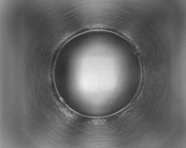 X0000056350345200509091602