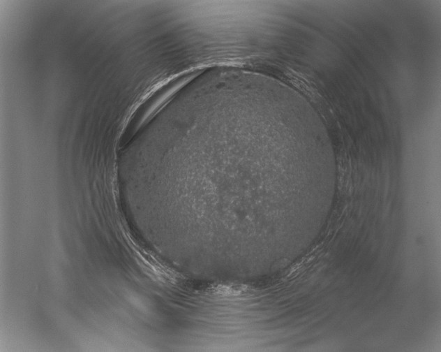 X0000056350346200509091602