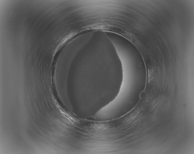 X0000056350349200509091602