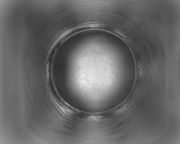 X0000056350350200509091602