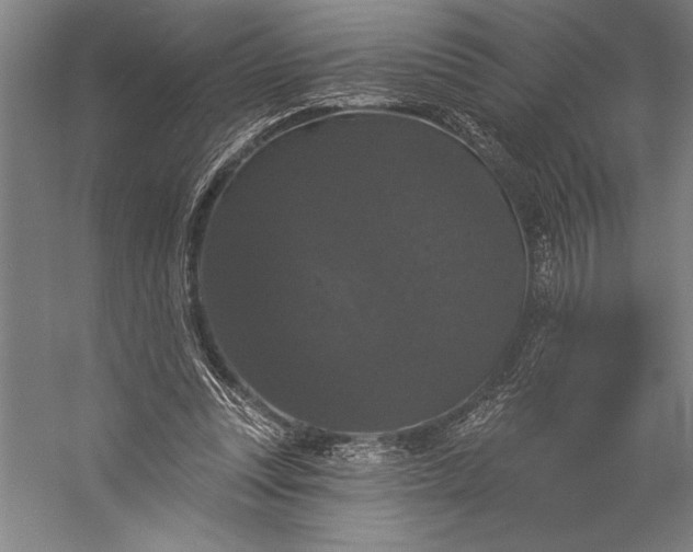 X0000056350351200509091602