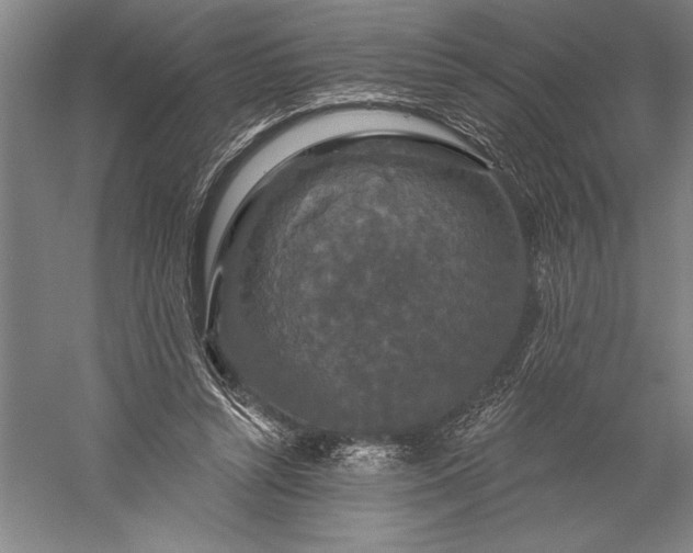 X0000056350352200509091602