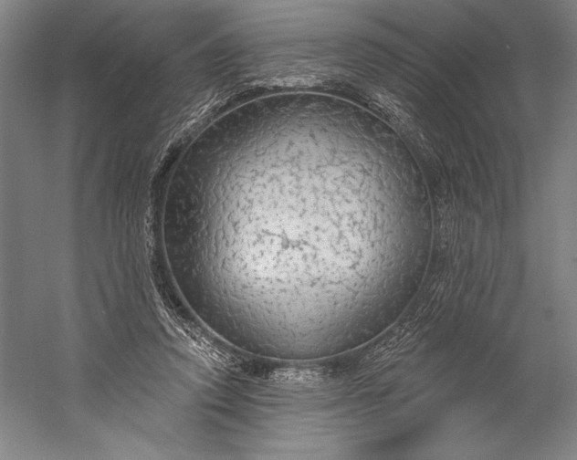 X0000056350354200509091602