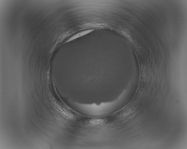 X0000056350357200509091602