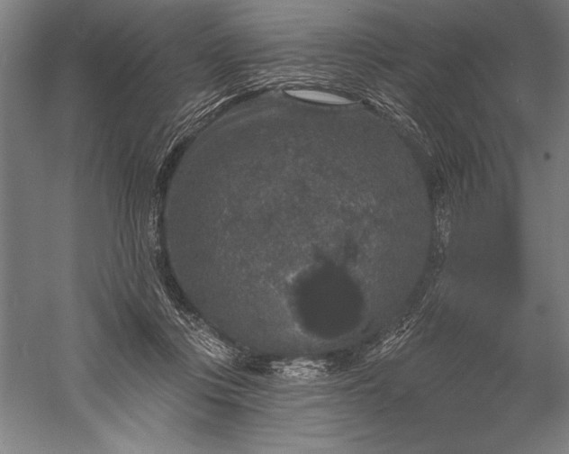 X0000056350359200509091602