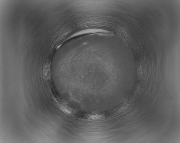 X0000056350360200509091602