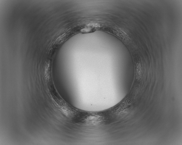 X0000056350364200509091602