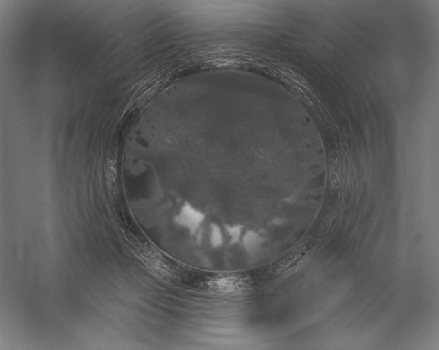 X0000056350365200509091602