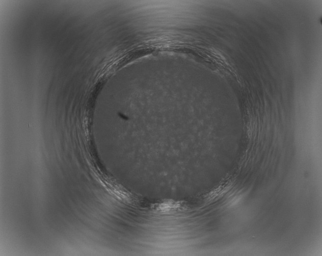 X0000056350366200509091602