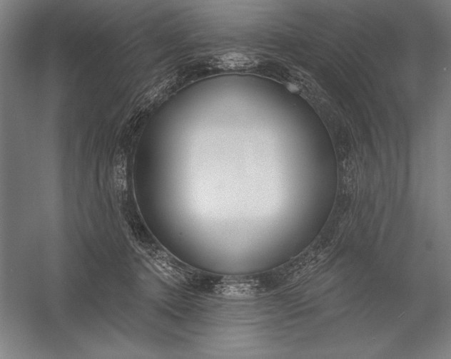 X0000056350368200509091602