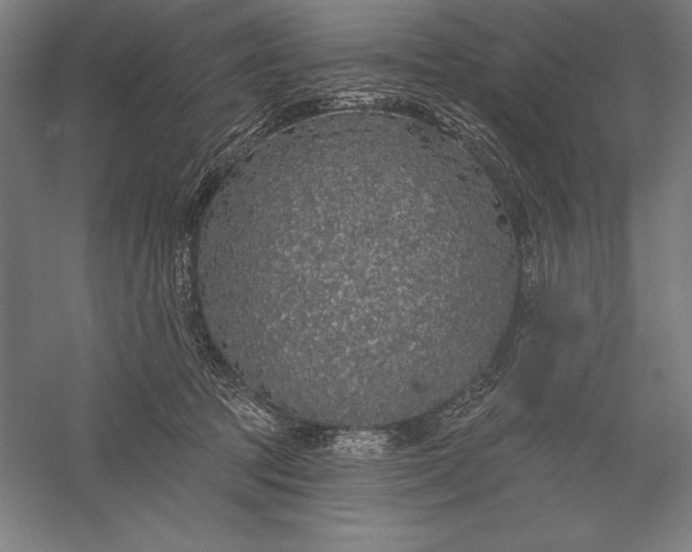 X0000056350369200509091602