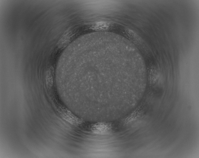 X0000056350370200509091602