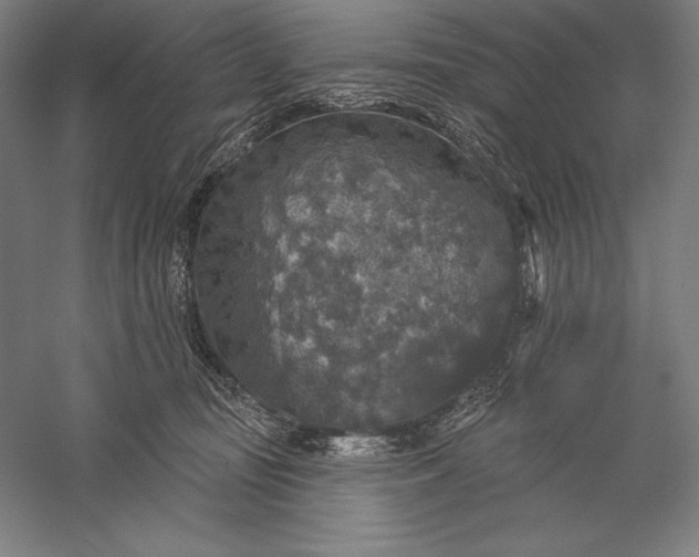 X0000056350371200509091602