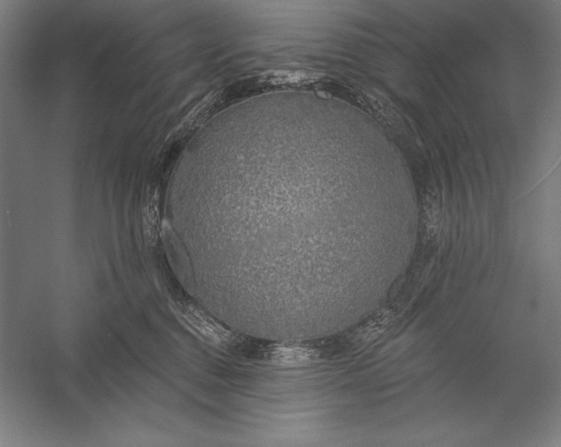 X0000056350376200509091603