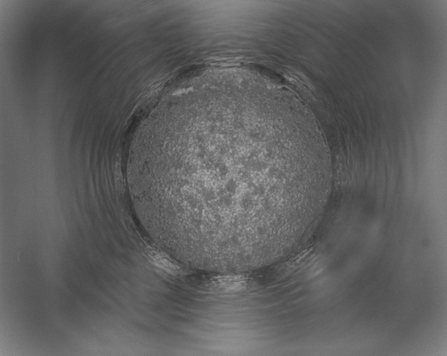 X0000056350377200509091603