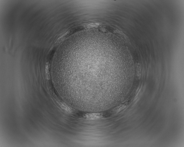 X0000056350378200509091603