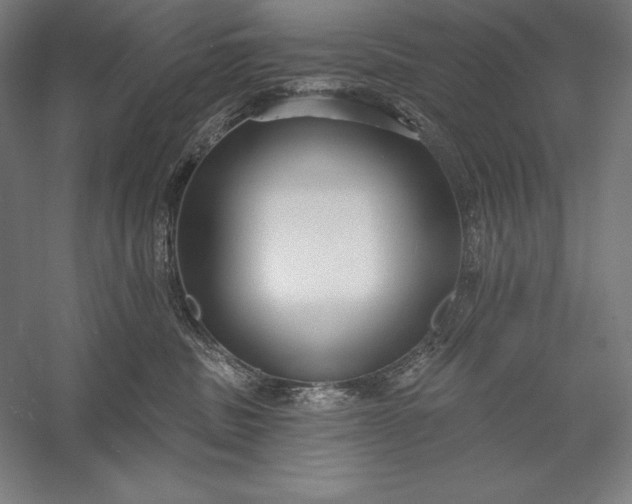 X0000056350379200509091603