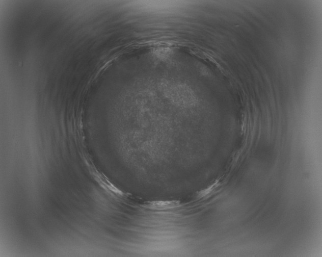 X0000056350380200509091603