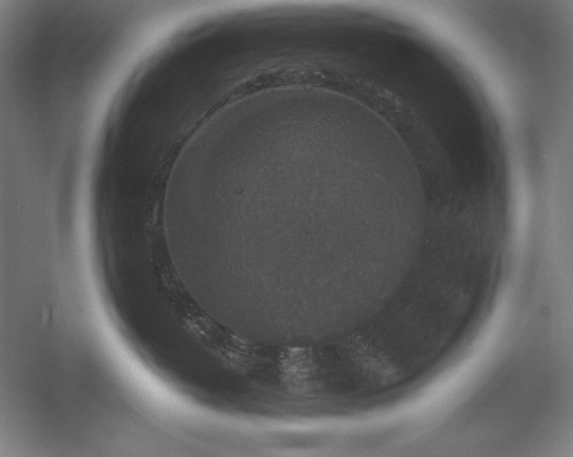 X0000056350382200509091603