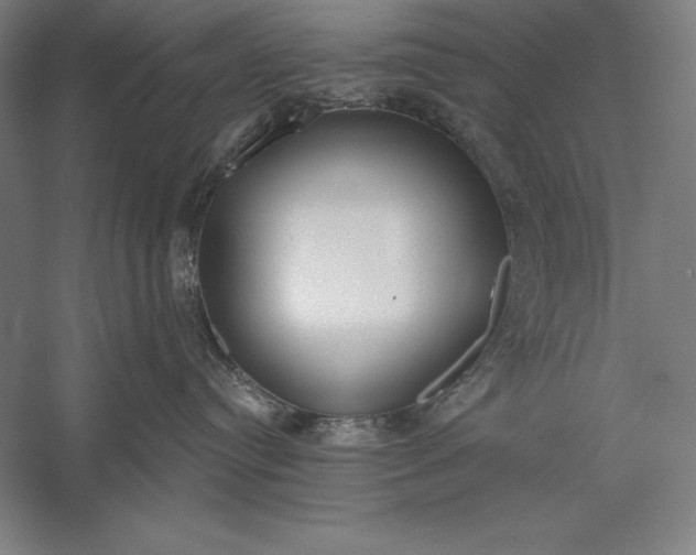 X0000056350384200509091603