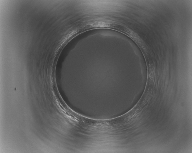 X0000056350386200509091602