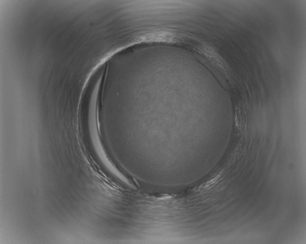 X0000056350388200509091602