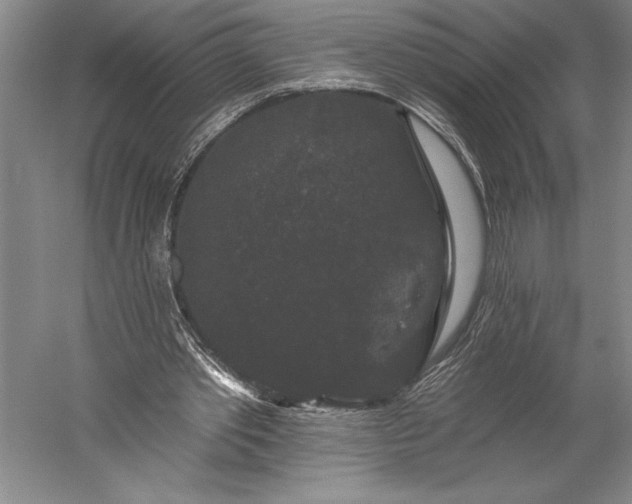 X0000056350389200509091602