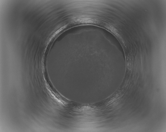 X0000056350390200509091602