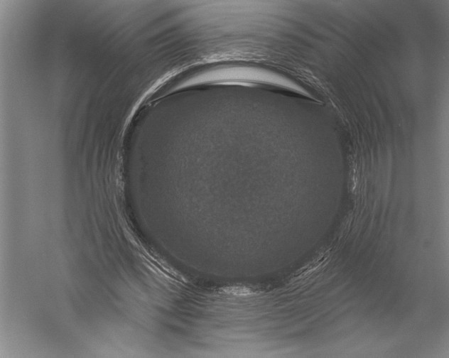 X0000056350392200509091602