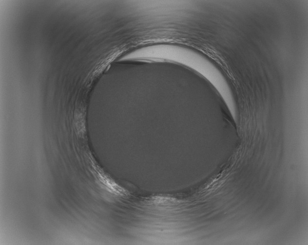 X0000056350393200509091602