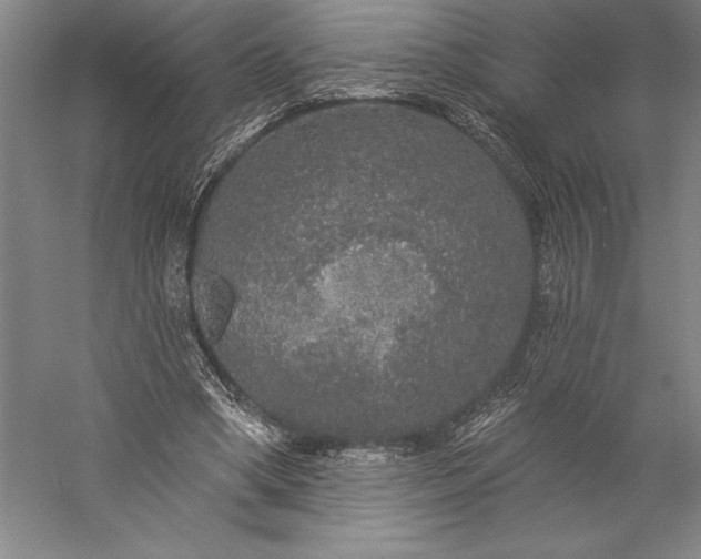 X0000056350394200509091602