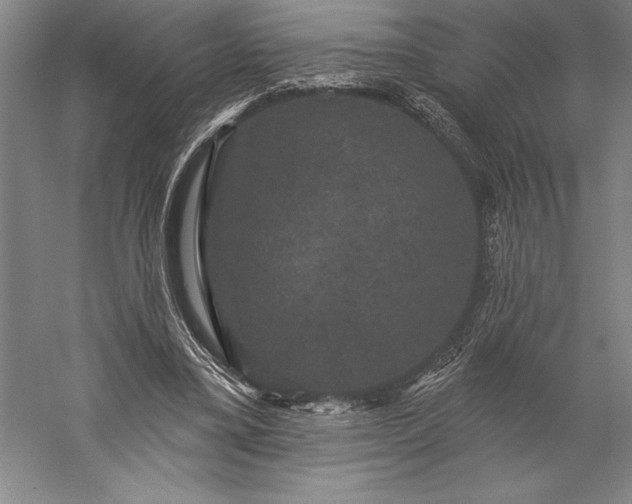 X0000056350395200509091602