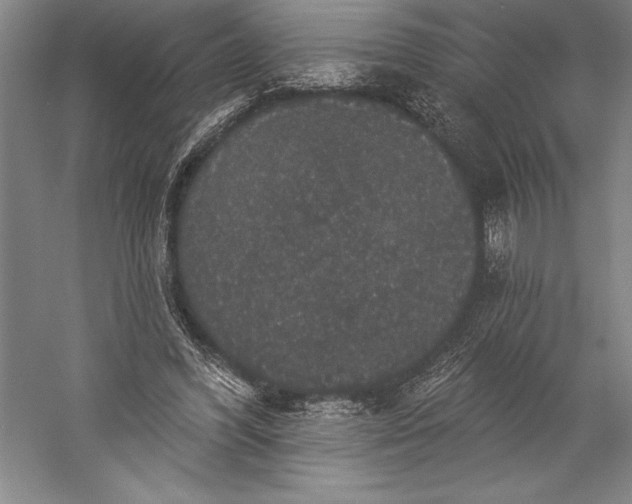 X0000056350396200509091602