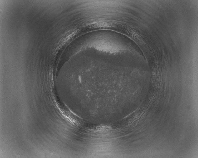 X0000056350398200509091602