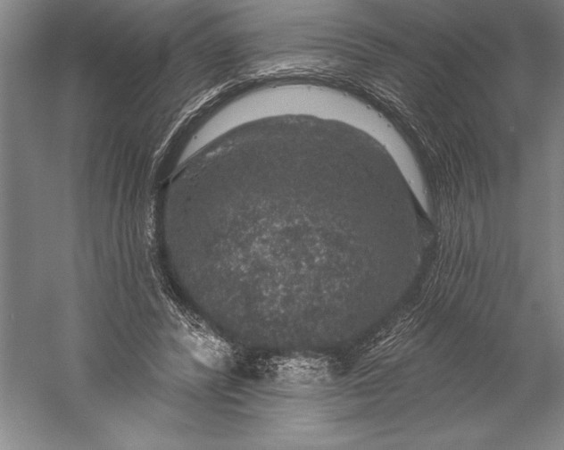 X0000056350400200509091602