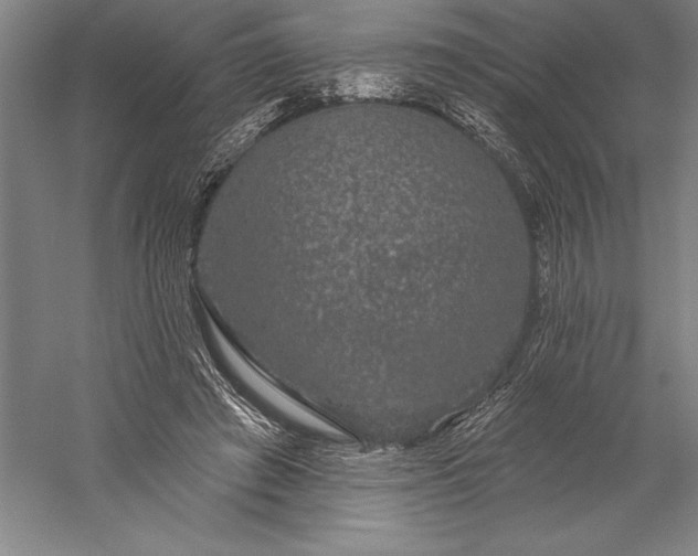 X0000056350401200509091602