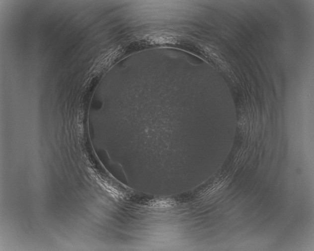 X0000056350402200509091602